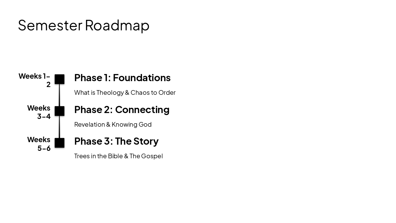 Slide 16 - Semester Roadmap
