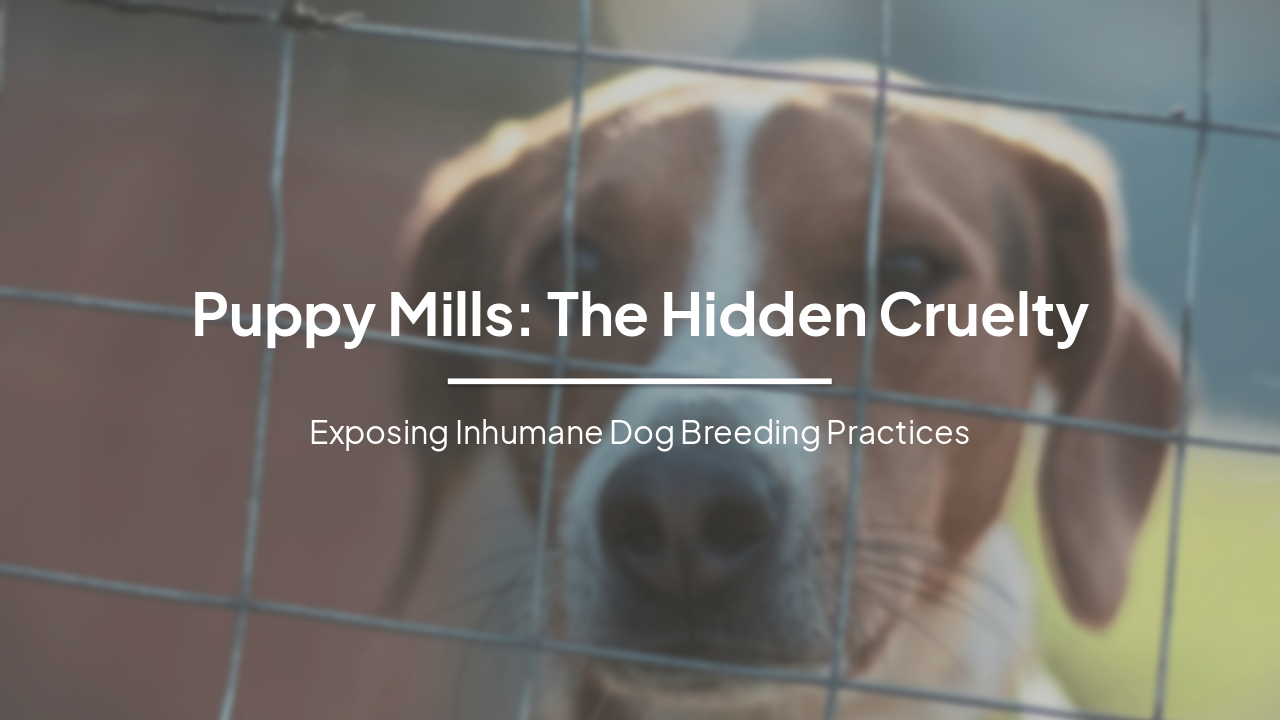 Slide 1 - Puppy Mills: The Hidden Cruelty