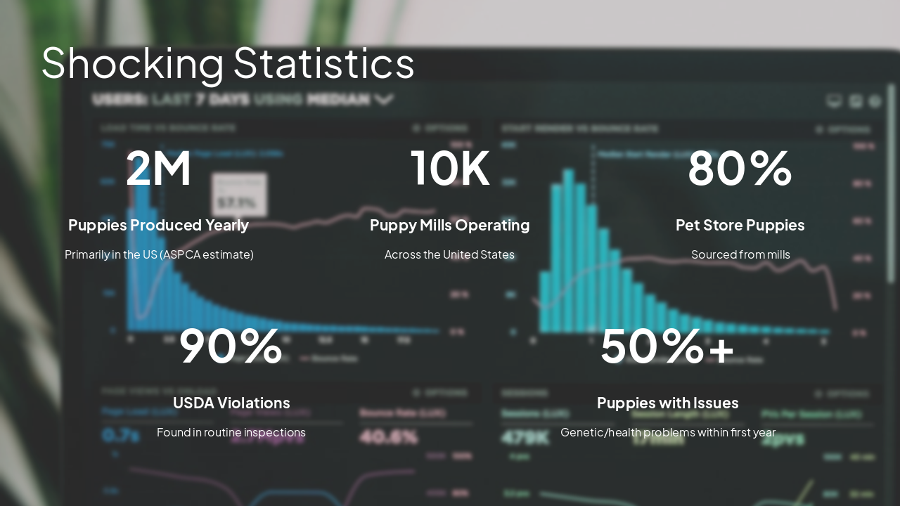 Slide 6 - Shocking Statistics