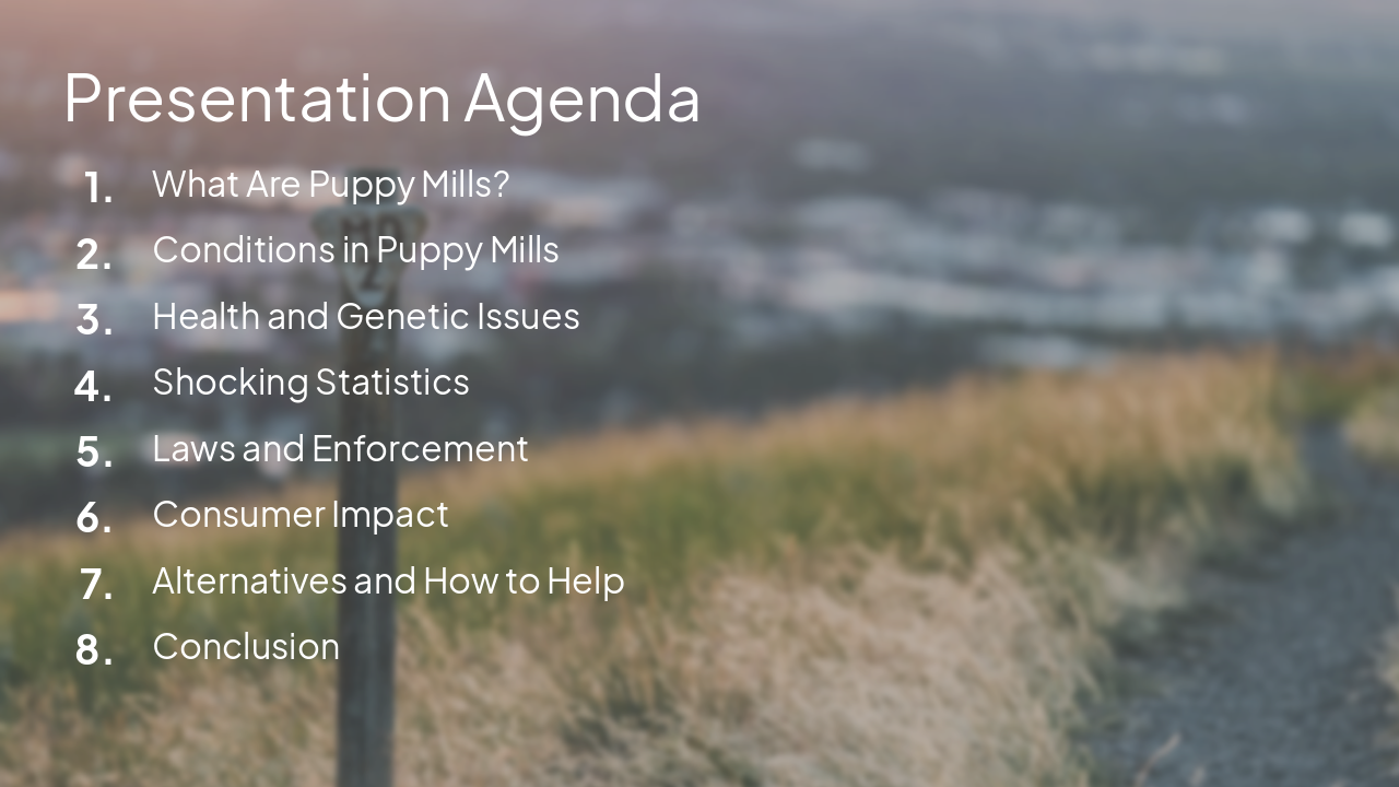 Slide 2 - Presentation Agenda