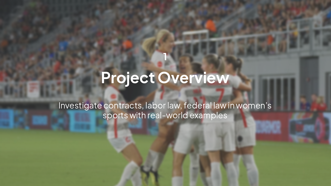 Slide 3 - Project Overview