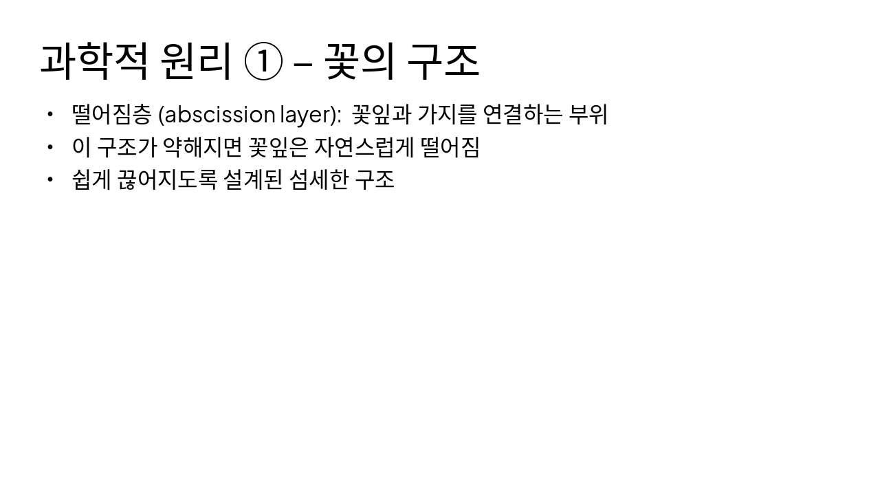 Slide 4 - 과학적 원리 ① – 꽃의 구조