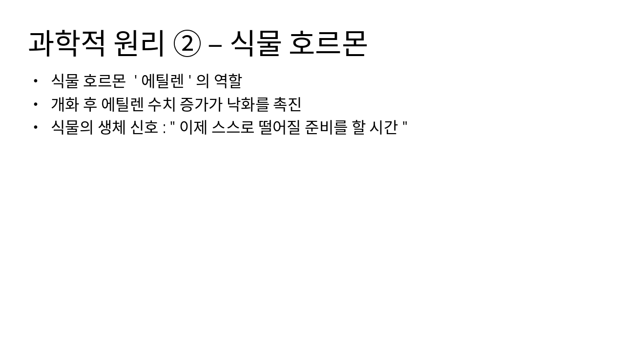 Slide 5 - 과학적 원리 ② – 식물 호르몬