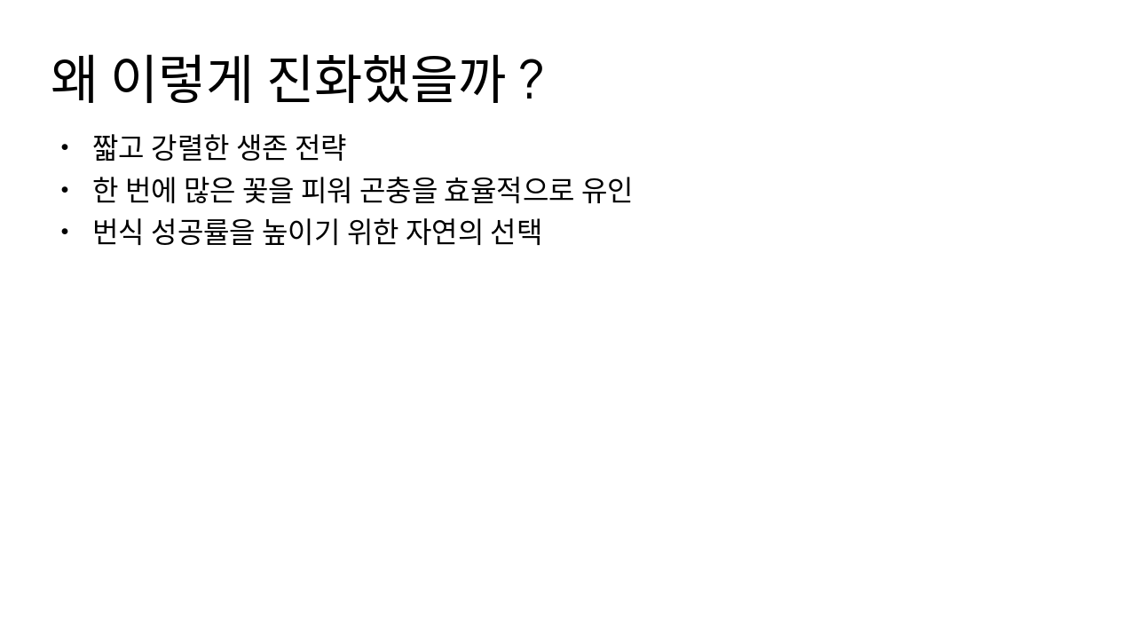 Slide 7 - 왜 이렇게 진화했을까?