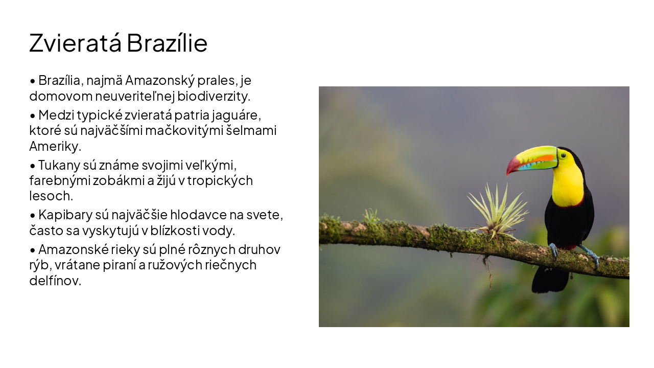 Slide 6 - Zvieratá Brazílie