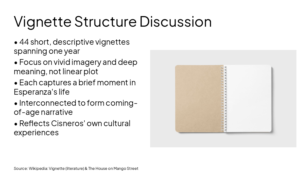 Slide 6 - Vignette Structure Discussion