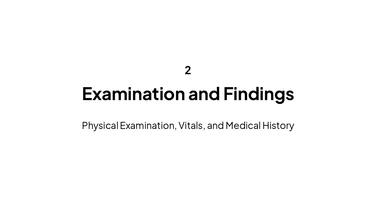 Slide 5 - Section 2
