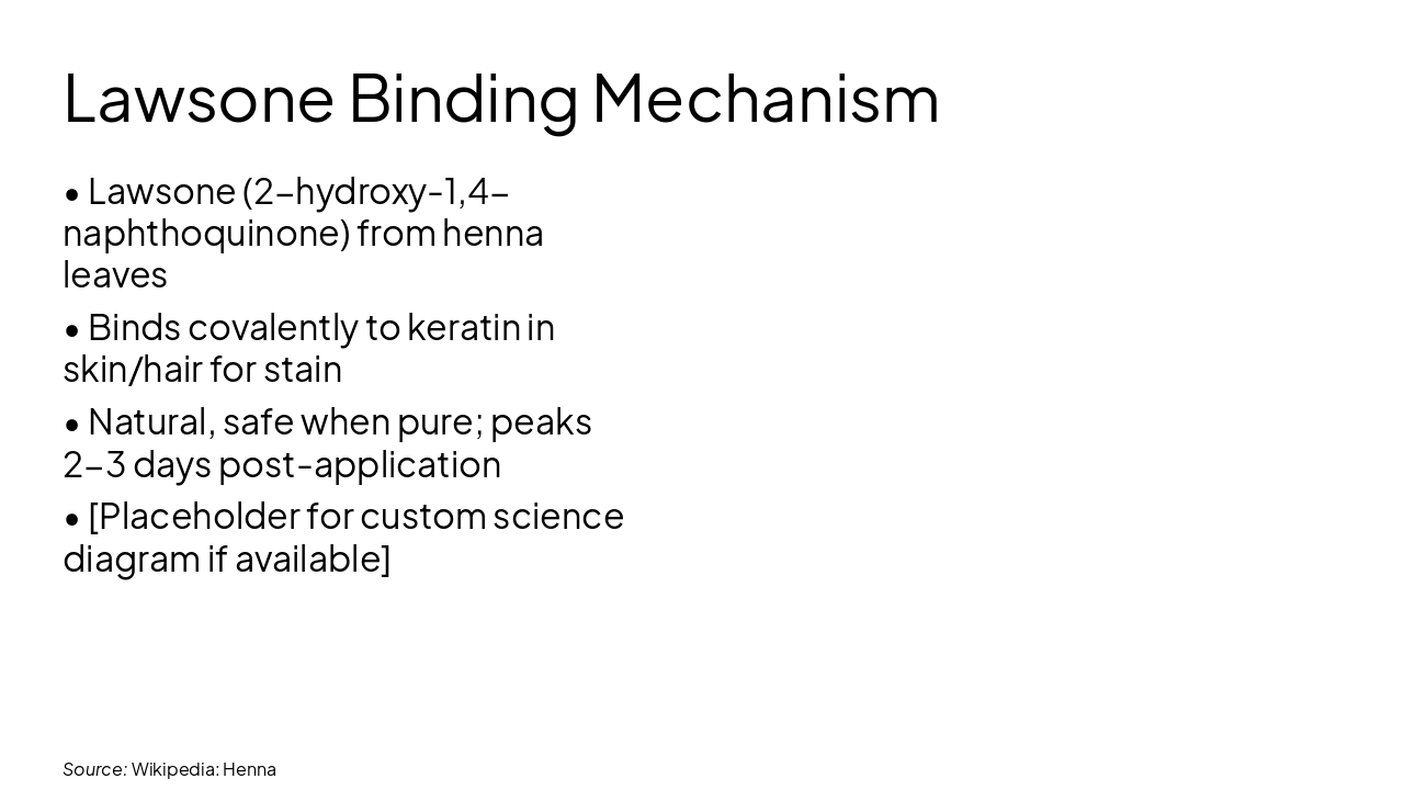 Slide 17 - Lawsone Binding Mechanism