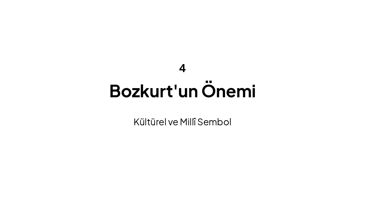 Slide 12 - Önem ve Miras
