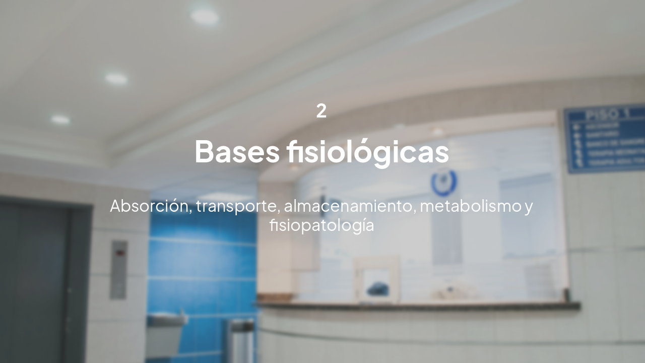 Slide 7 - Bases fisiológicas
