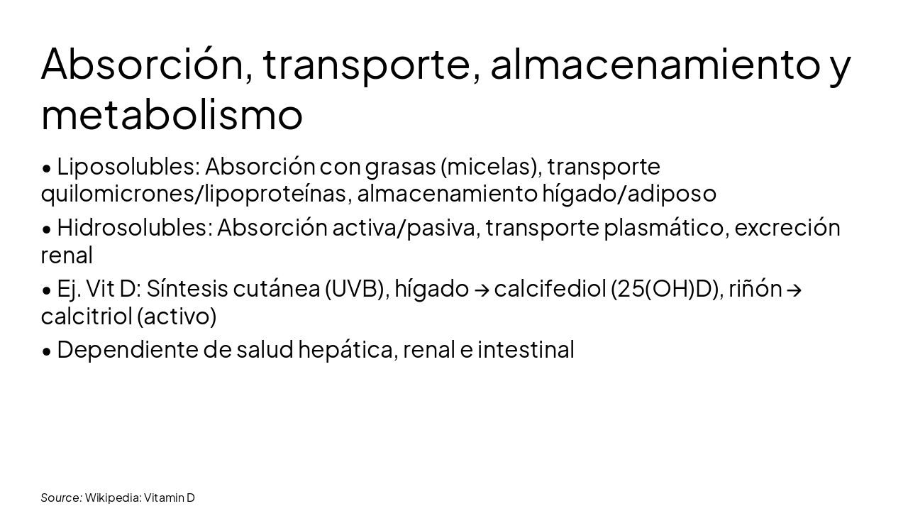 Slide 8 - Absorción, transporte, almacenamiento y metabolismo
