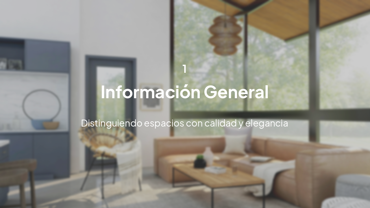 Slide 3 - Información General