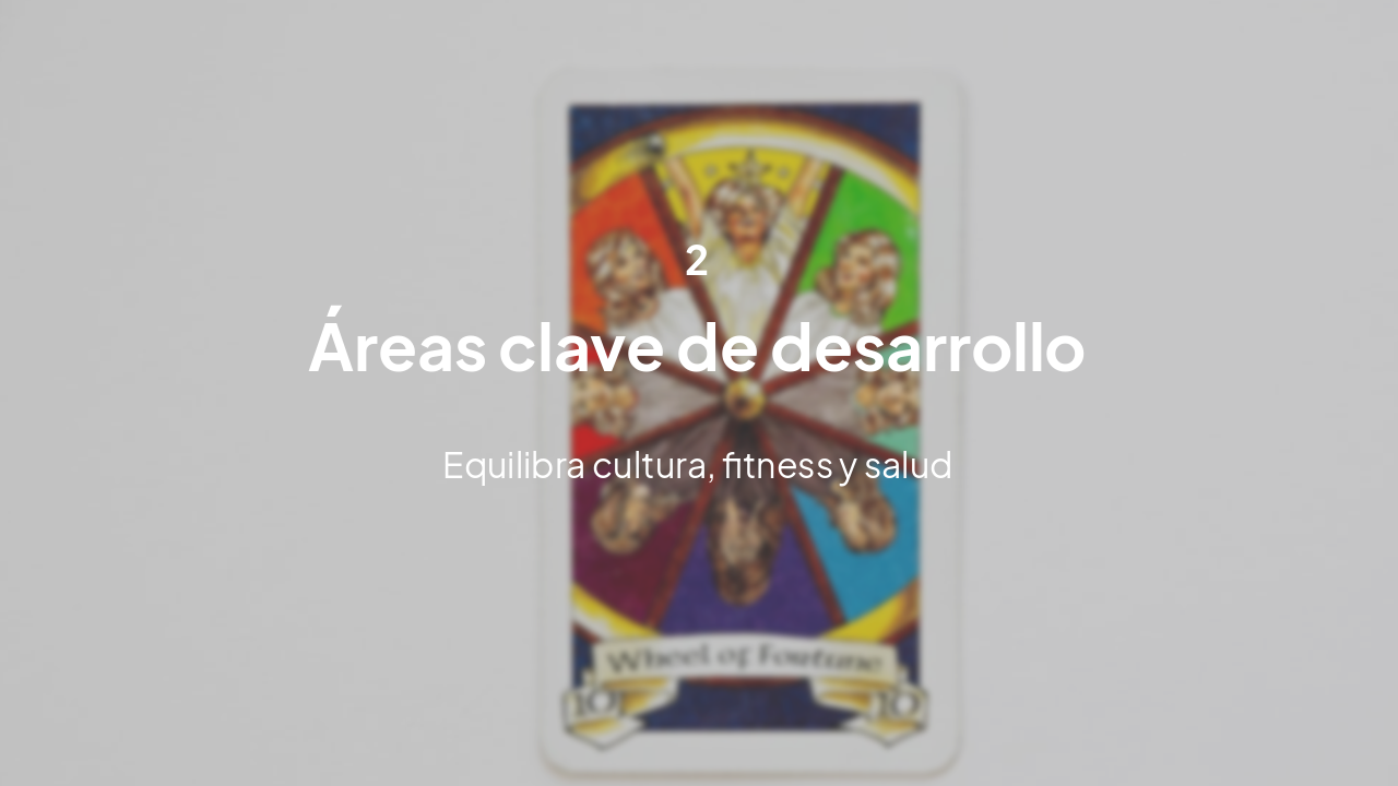 Slide 5 - Áreas clave de desarrollo