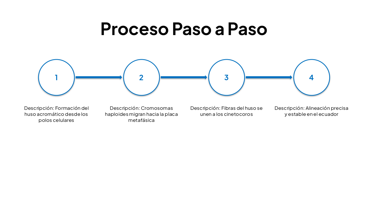 Slide 5 - Proceso Paso a Paso