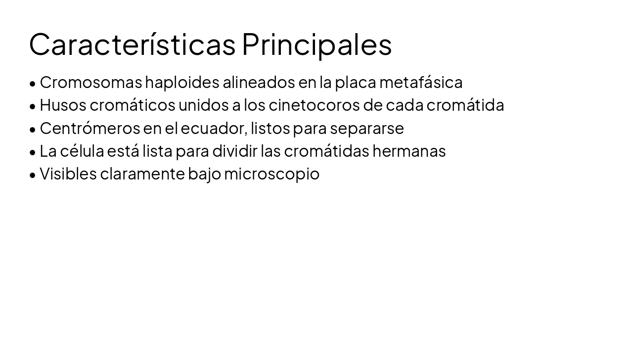 Slide 3 - Características Principales
