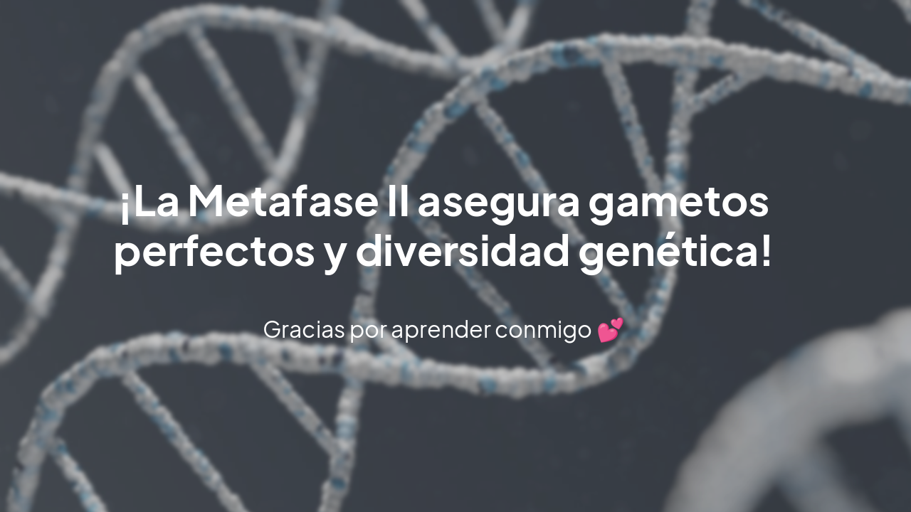 Slide 8 - Conclusión