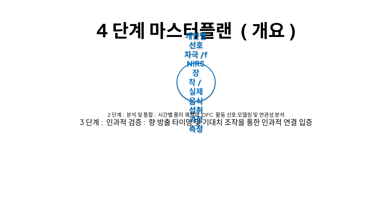 Slide 6 - 4단계 마스터플랜 (개요)