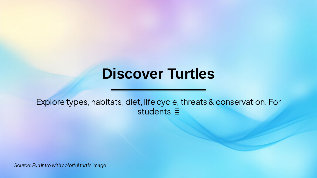 Discover the World of Turtles!