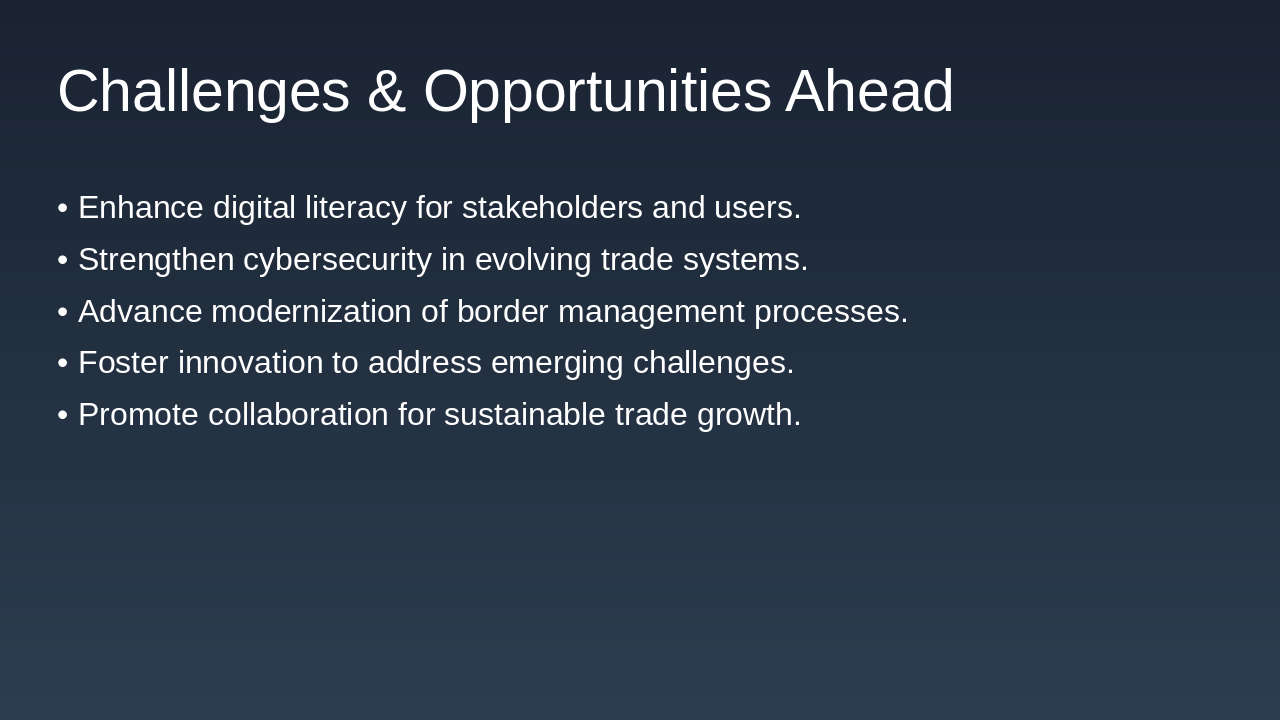 Slide 13 - Challenges & Opportunities Ahead