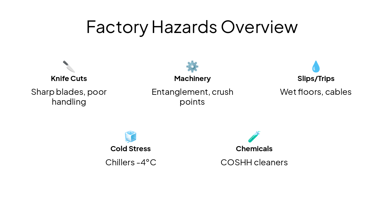 Slide 7 - Factory Hazards Overview