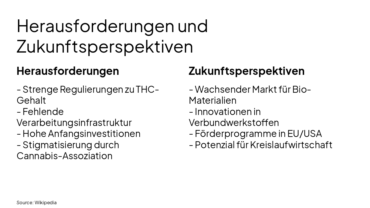 Slide 11 - Herausforderungen und Zukunftsperspektiven