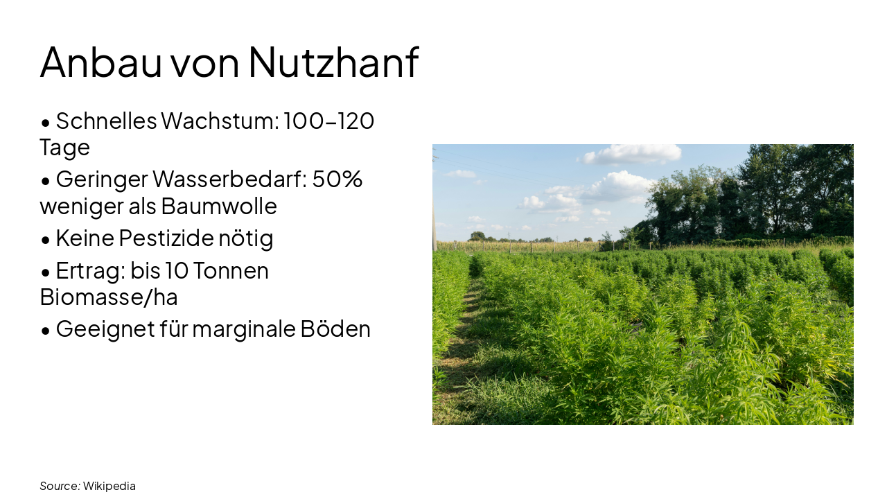 Slide 5 - Anbau von Nutzhanf