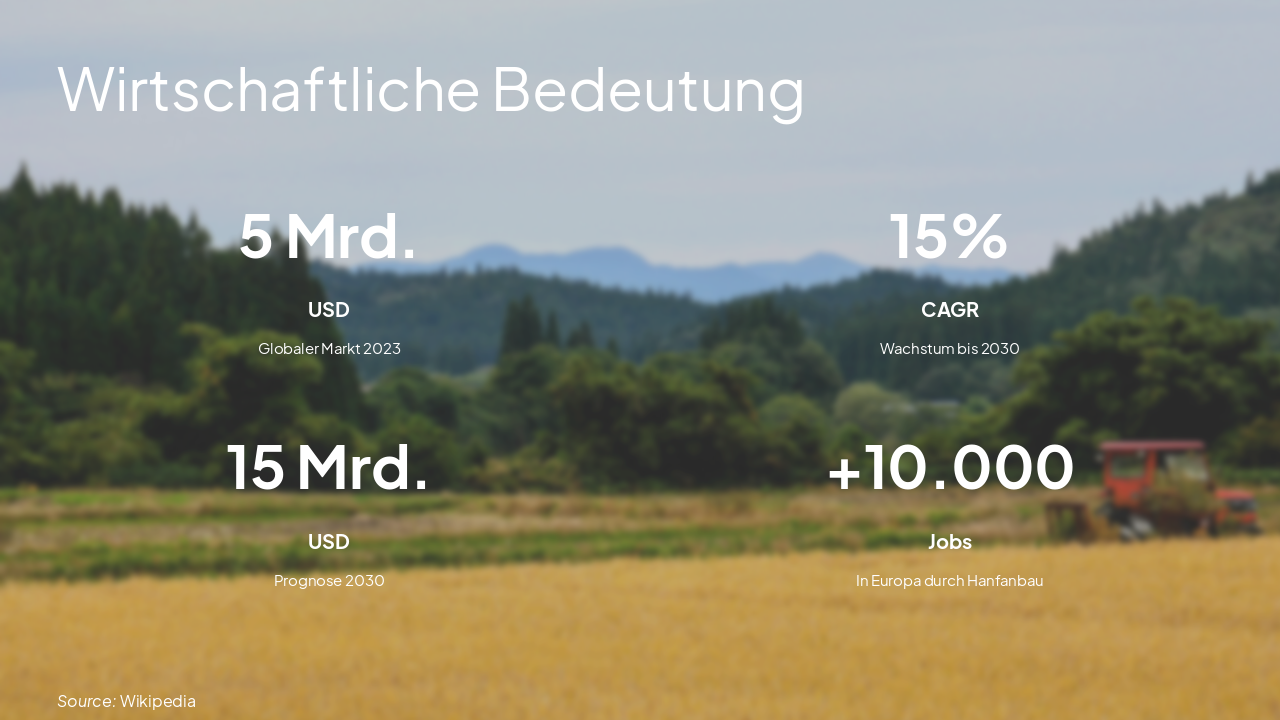 Slide 10 - Wirtschaftliche Bedeutung