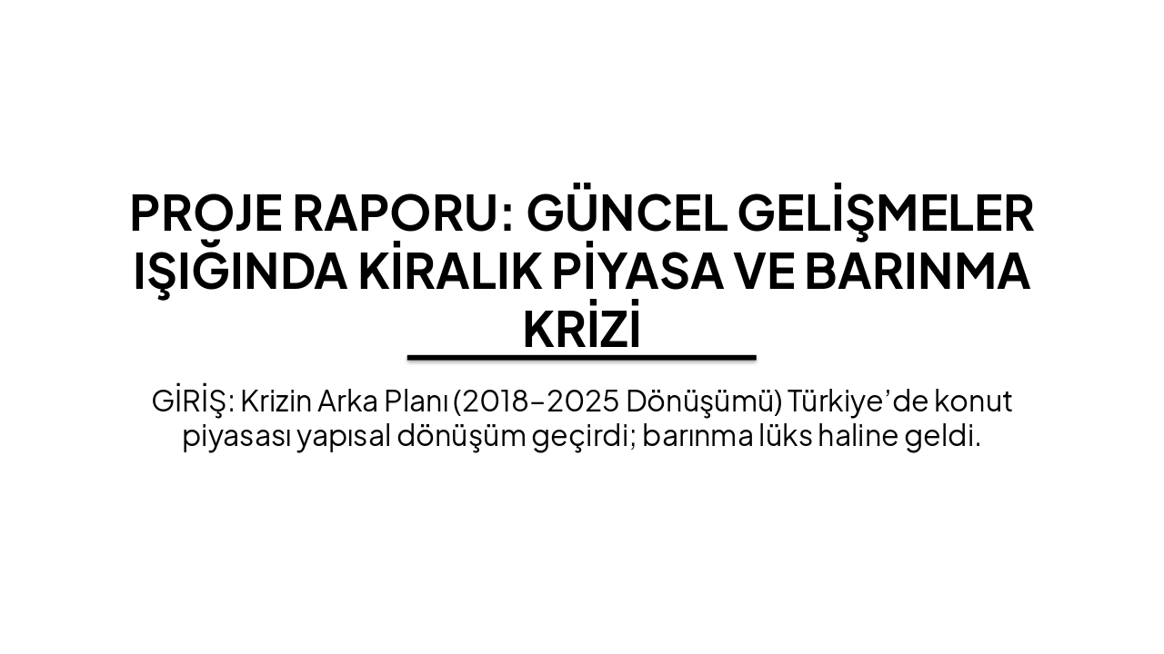 Turkey's Rental Crisis: Causes & Solutions (38 chars)