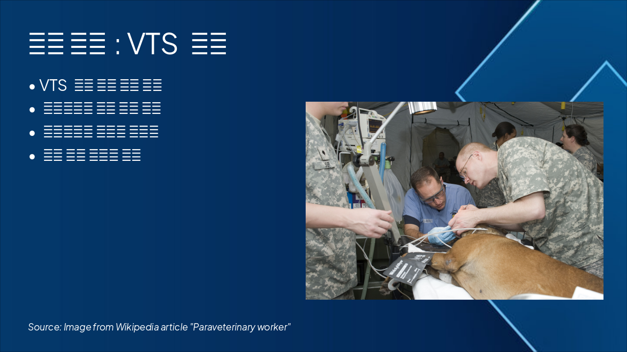 Slide 11 - 미래 비전: VTS 모델