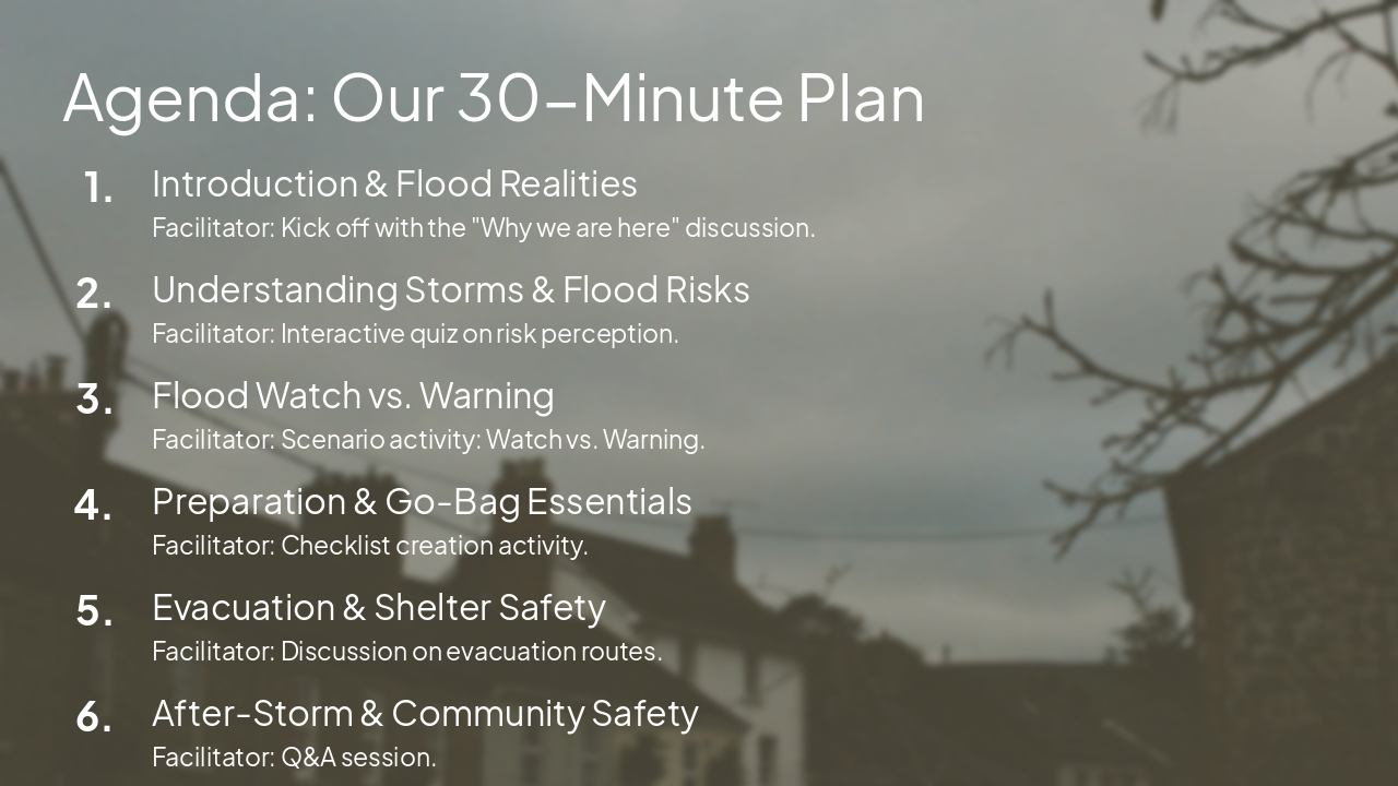 Slide 2 - Agenda: Our 30-Minute Plan