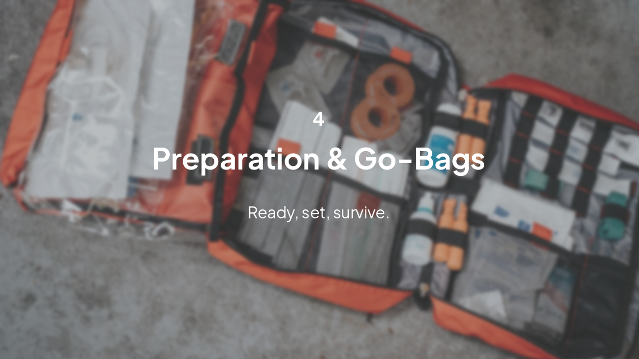 Slide 10 - Section 4