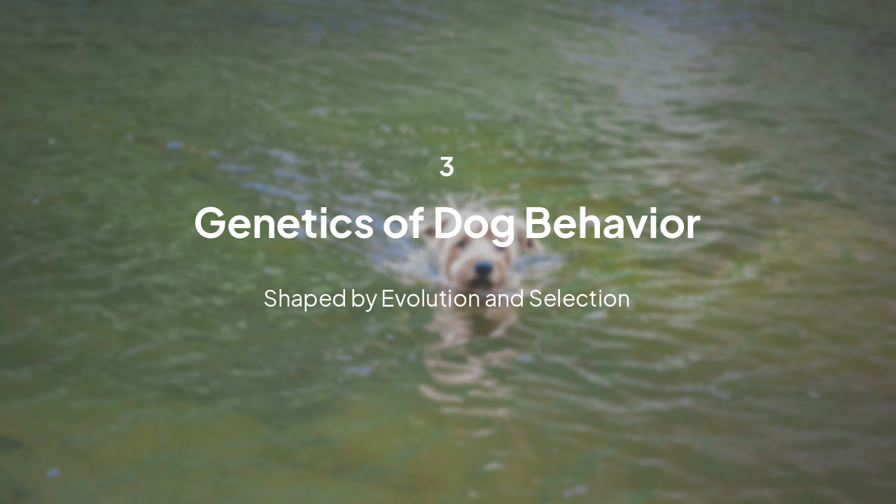 Slide 8 - Genetics of Dog Behavior