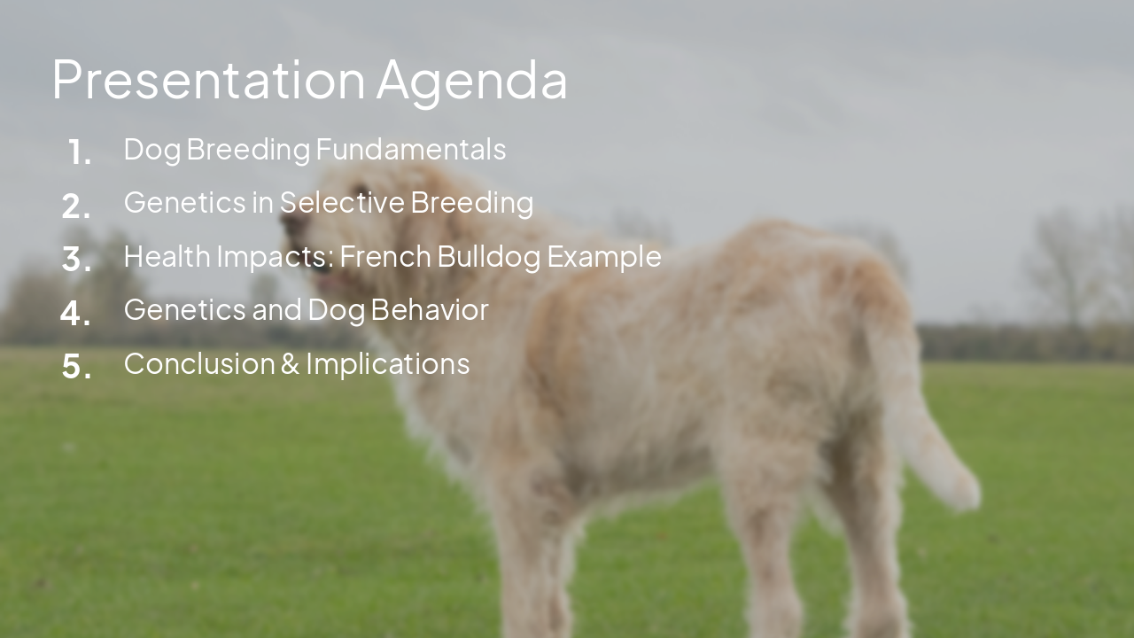 Slide 2 - Presentation Agenda