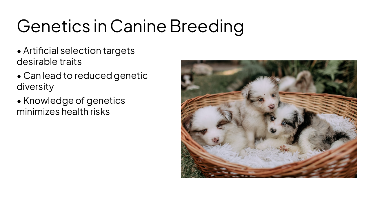 Slide 5 - Genetics in Canine Breeding
