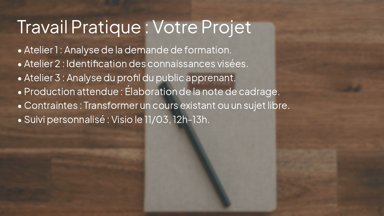 Slide 11 - Travail Pratique : Votre Projet