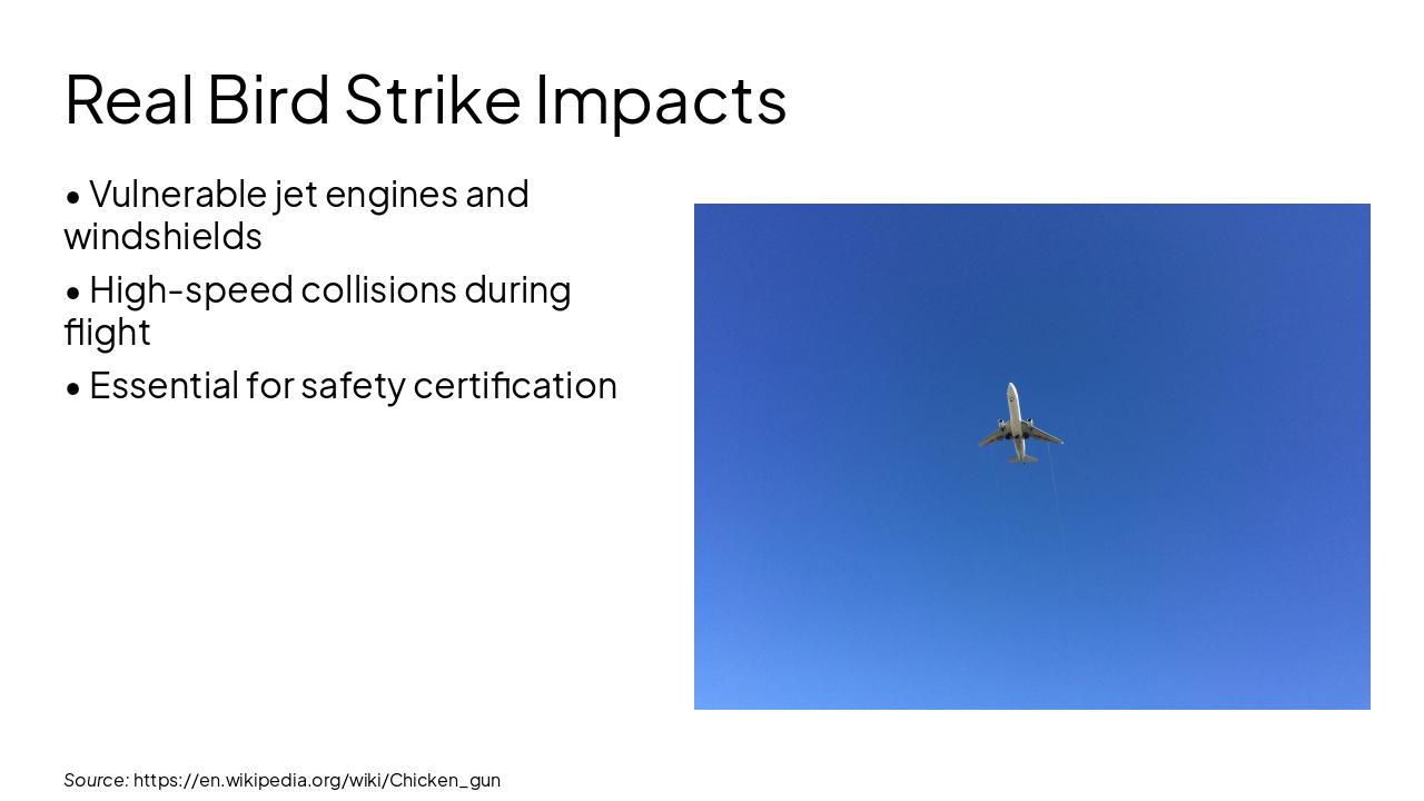 Slide 4 - Real Bird Strike Impacts