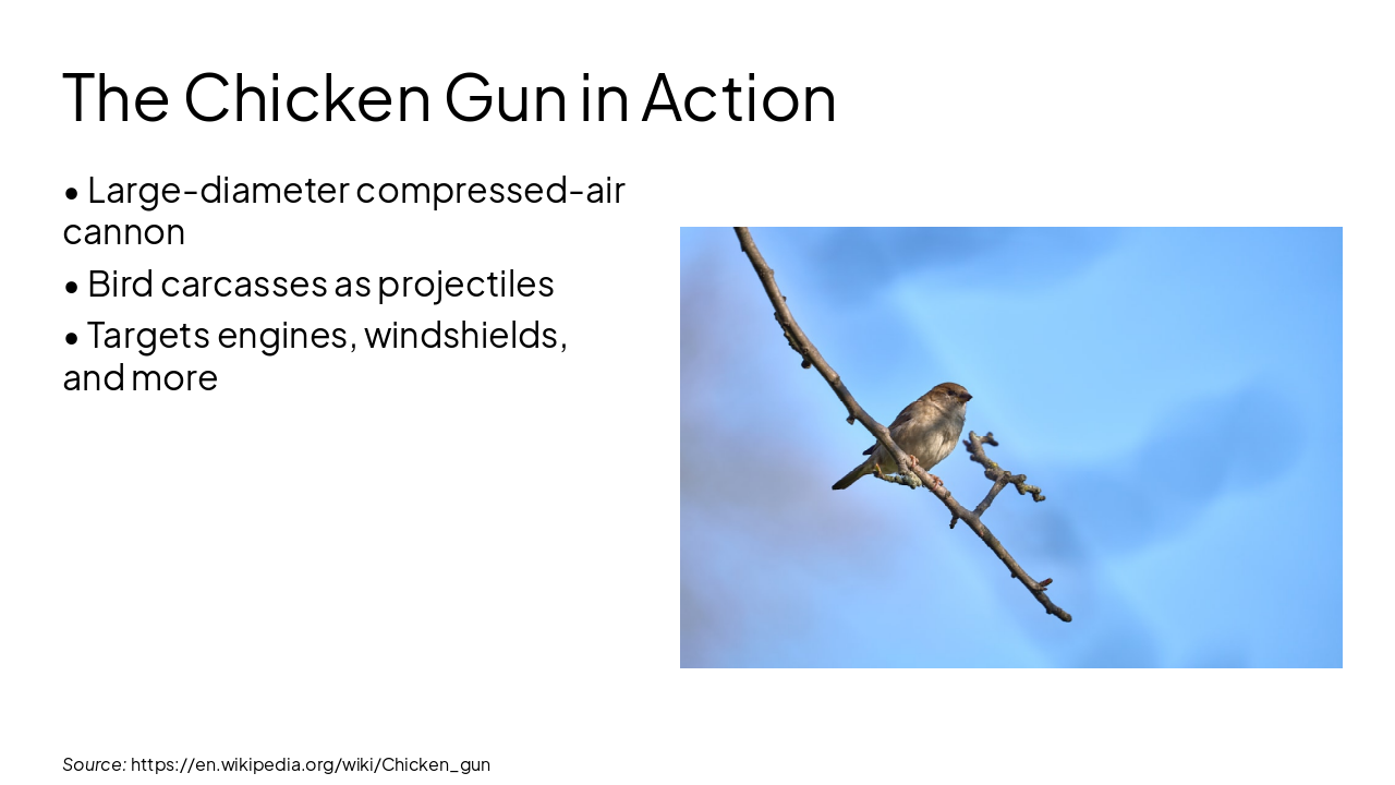Slide 7 - The Chicken Gun in Action