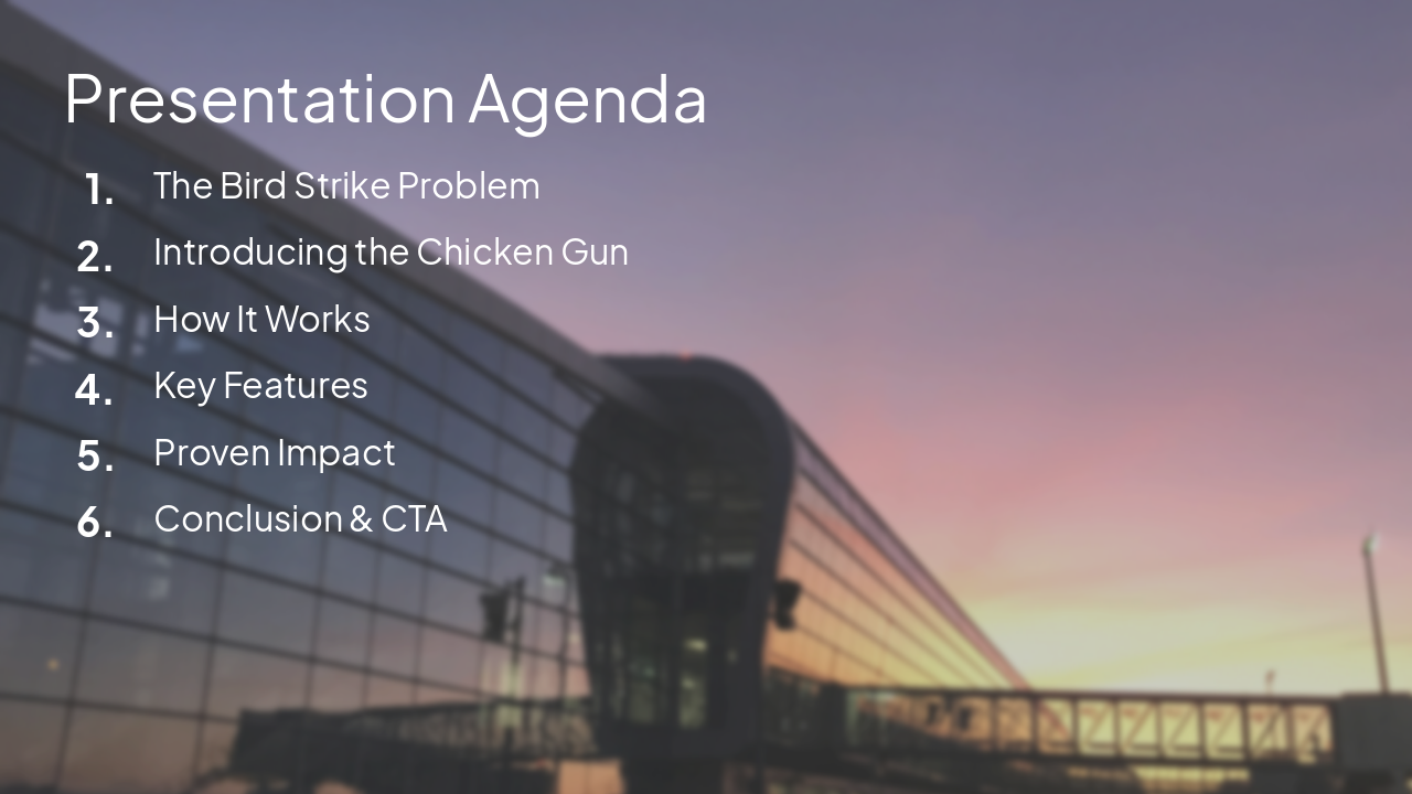 Slide 2 - Presentation Agenda