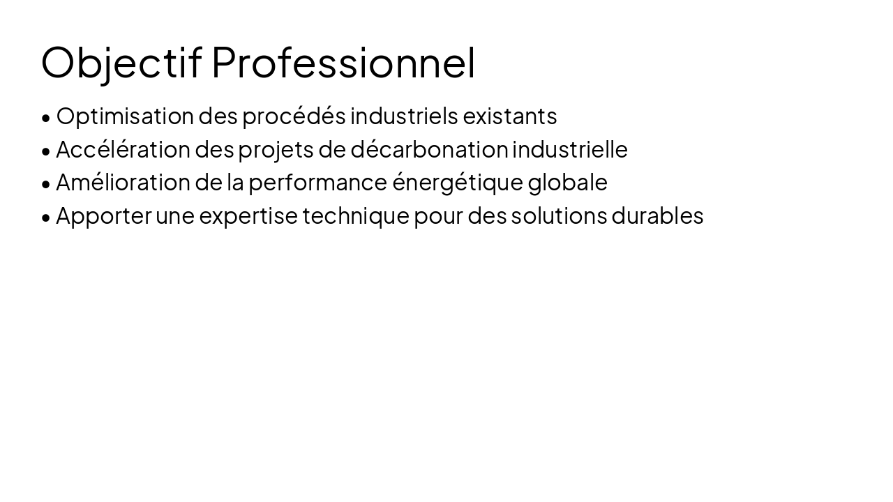 Slide 3 - Objectif Professionnel