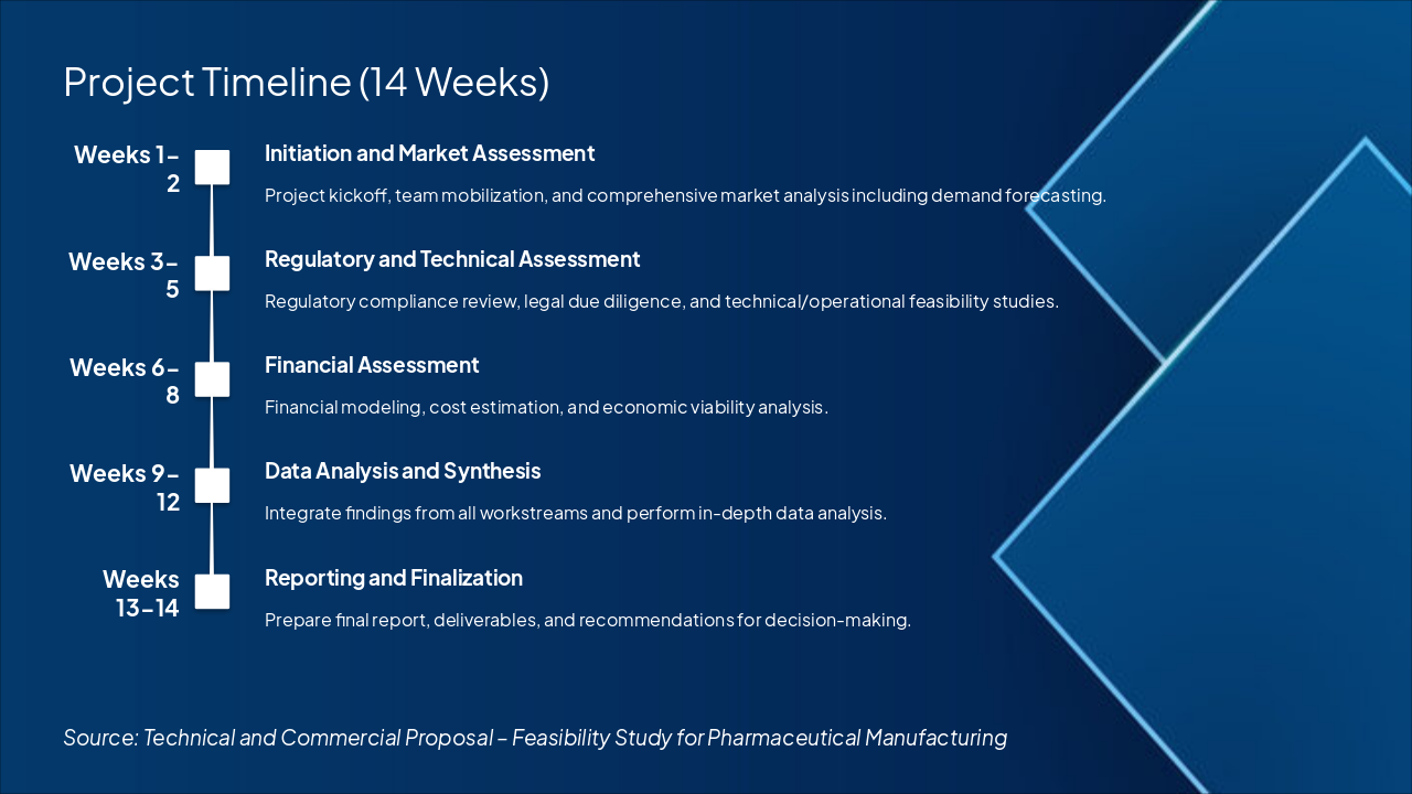 Slide 11 - Project Timeline (14 Weeks)