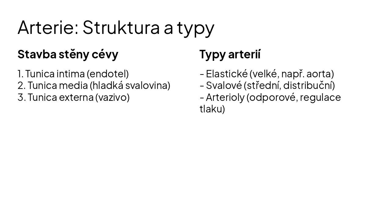 Slide 6 - Arterie: Struktura a typy