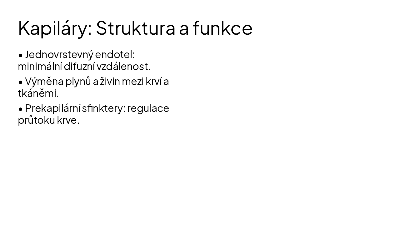 Slide 4 - Kapiláry: Struktura a funkce