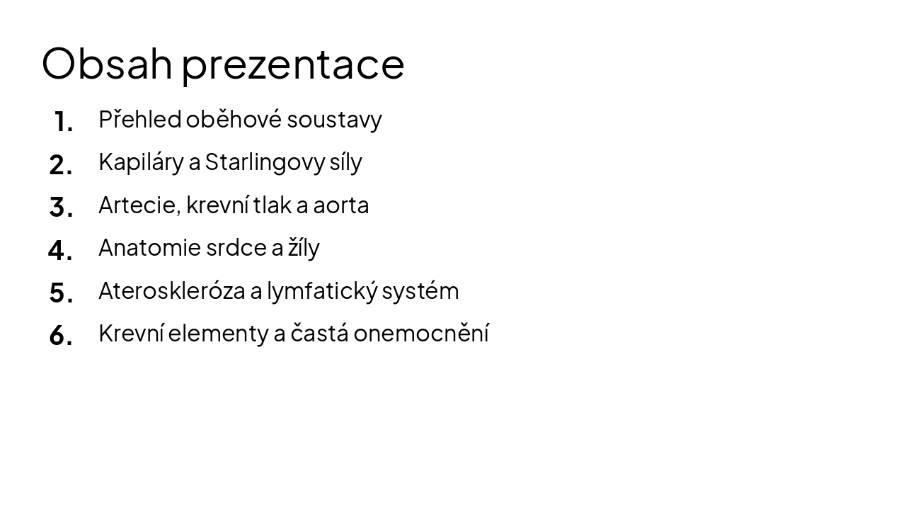 Slide 2 - Obsah prezentace