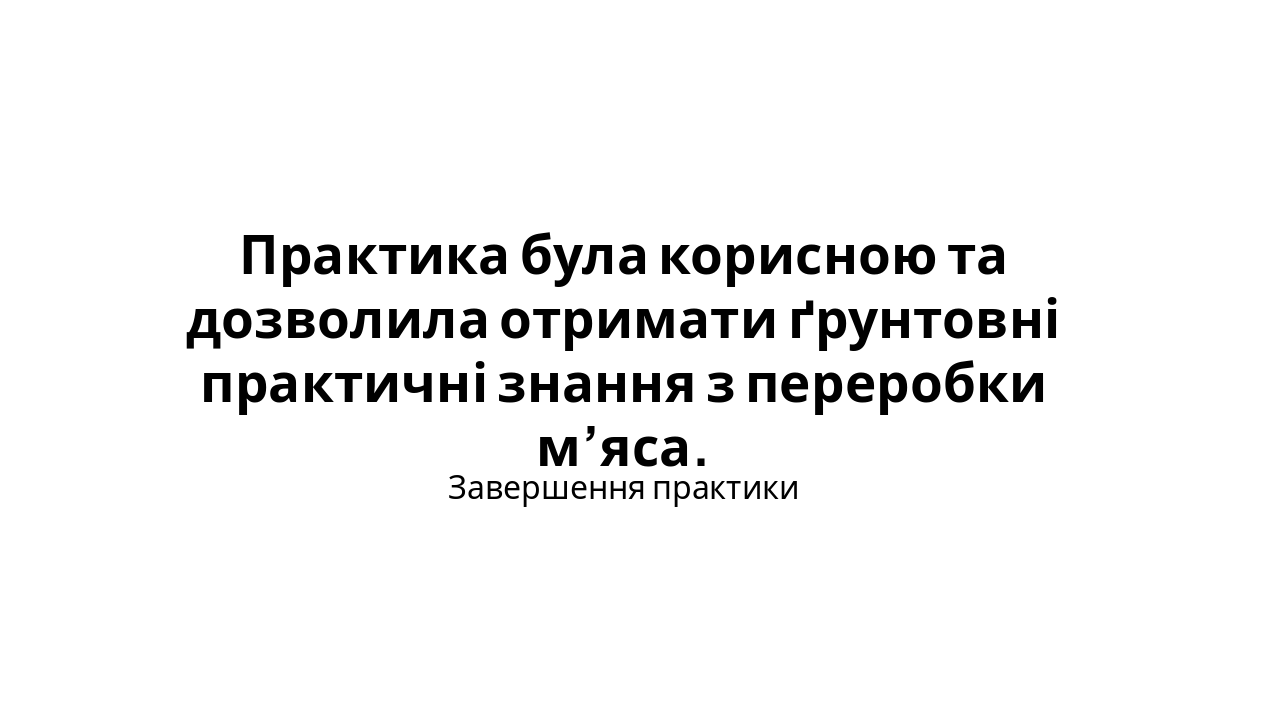 Slide 11 - Висновок