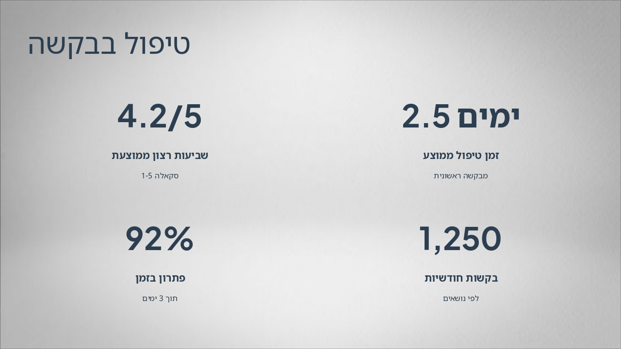 Slide 5 - טיפול בבקשה