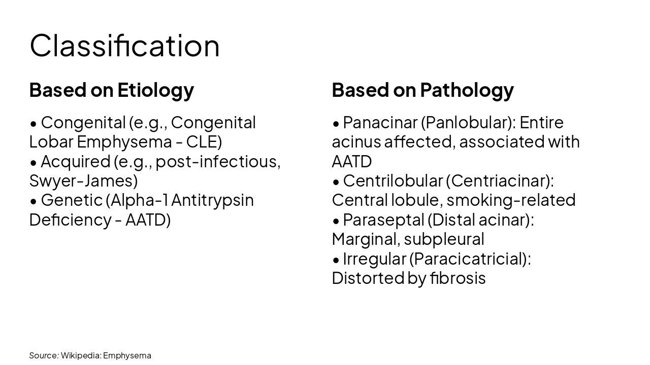 Slide 3 - Classification