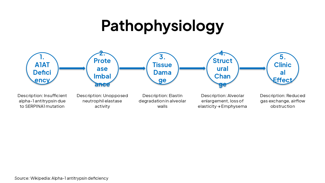 Slide 5 - Pathophysiology