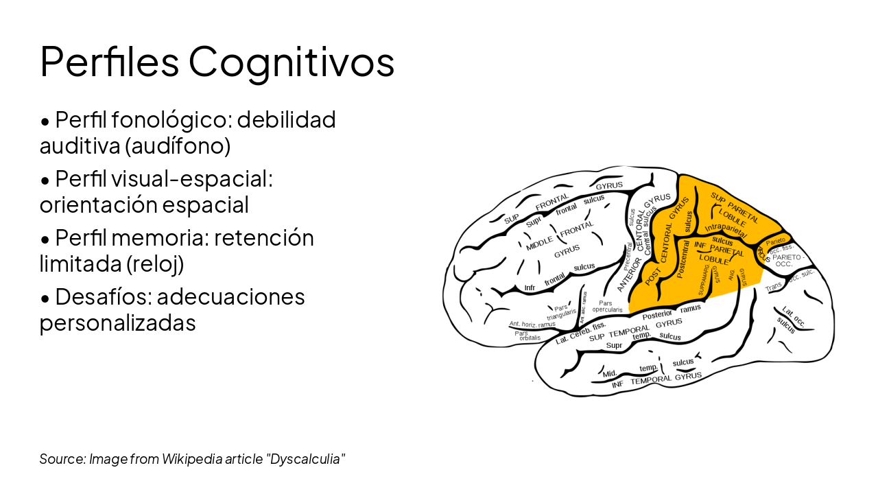 Slide 5 - Perfiles Cognitivos