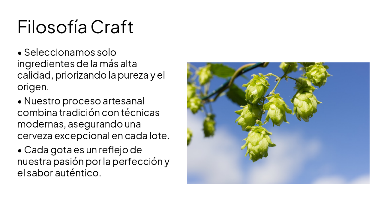 Slide 4 - Filosofía Craft