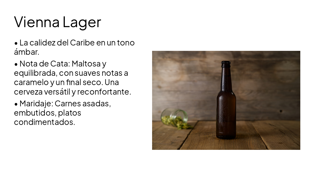Slide 7 - Vienna Lager